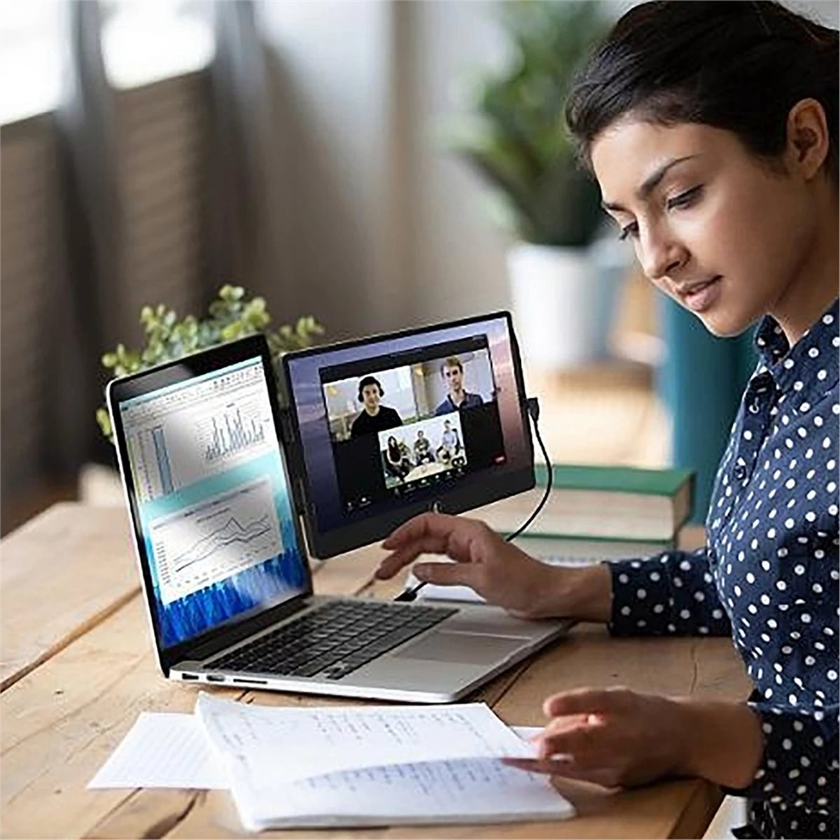 Écran d'extension portable EM1 - Laptop Accessories Buy avis et prix